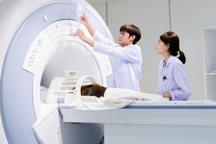 ROS Releases Veterinary Medicine 2015 Survey Results