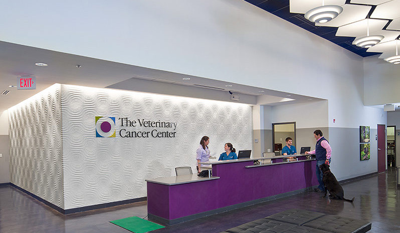 Practice Profile: The Veterinary Cancer Center in Norwalk, CT